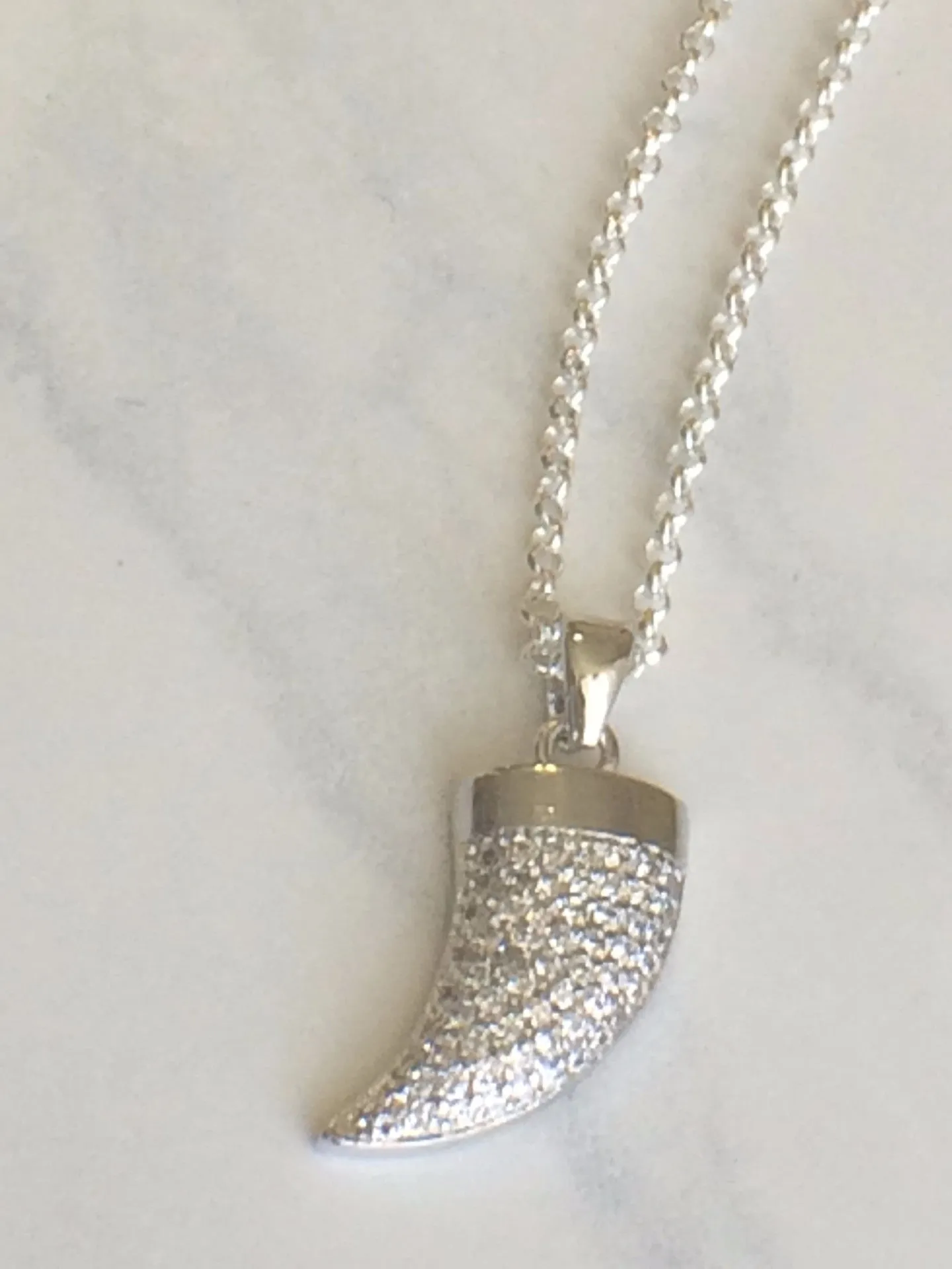 Crystal Horn Necklace silver